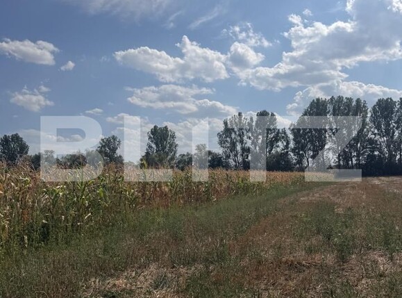 Teren de vânzare Nusfalau - 203506TV | BLITZ Zalău | Poza2