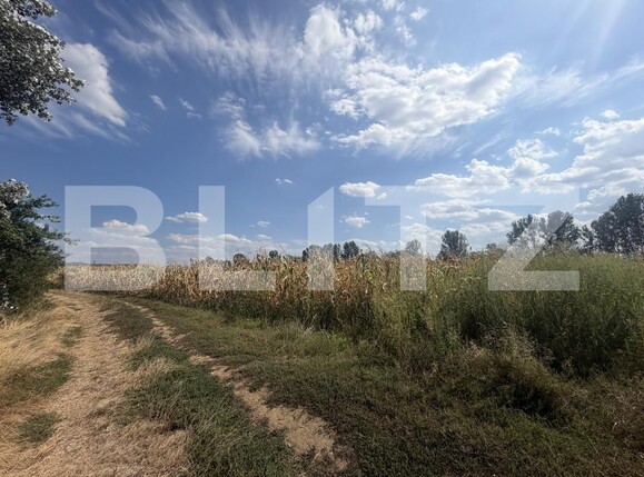 Teren de vânzare Nusfalau - 203506TV | BLITZ Zalău | Poza3