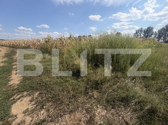 Teren de vânzare Nusfalau - 203506TV | BLITZ Zalău | Poza4