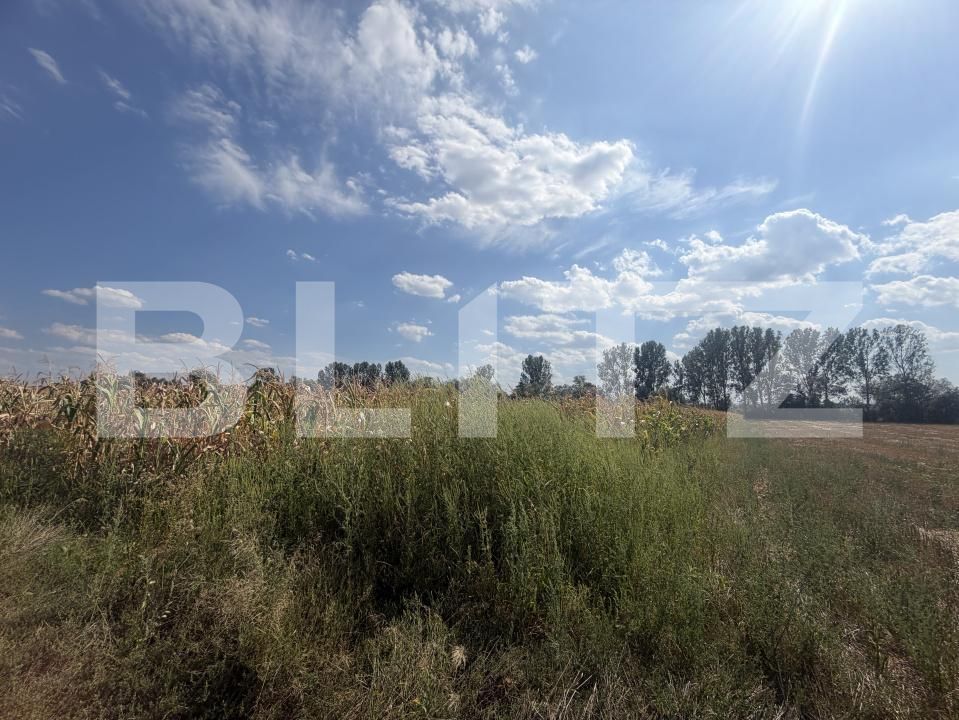 Teren de vânzare Nusfalau - 203506TV | BLITZ Zalău | Poza5