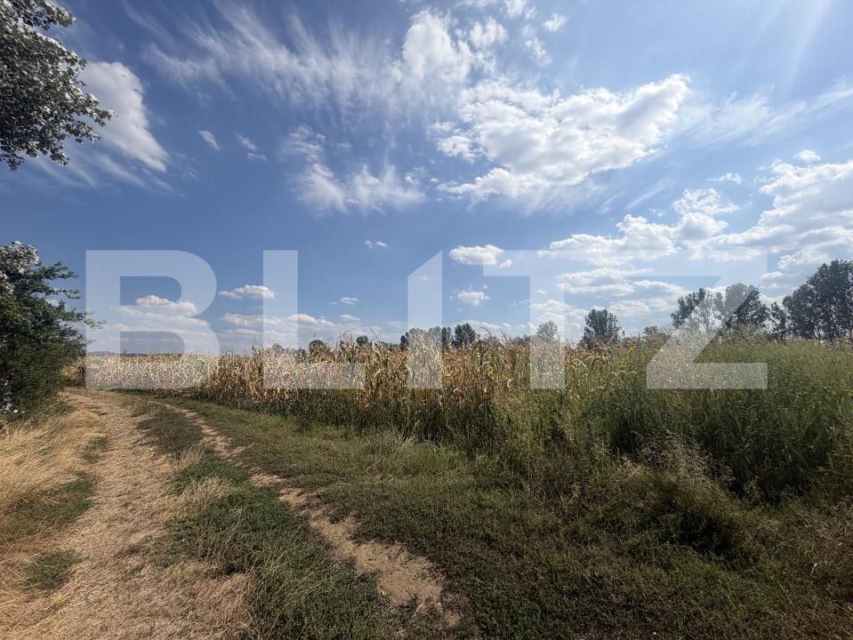 Teren de vânzare Nusfalau - 203506TV | BLITZ Zalău | Poza3