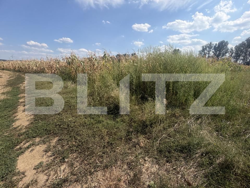 Teren de vânzare Nusfalau - 203506TV | BLITZ Zalău | Poza4