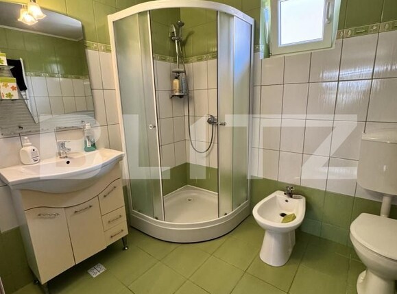 Casa de închiriat 4 camere Exterior-Nord - 203644CI | BLITZ Zalău | Poza10