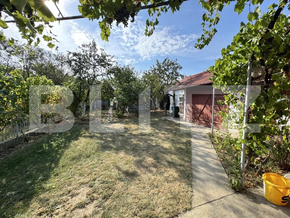 Casa de închiriat 4 camere Exterior-Nord - 203644CI | BLITZ Zalău | Poza12