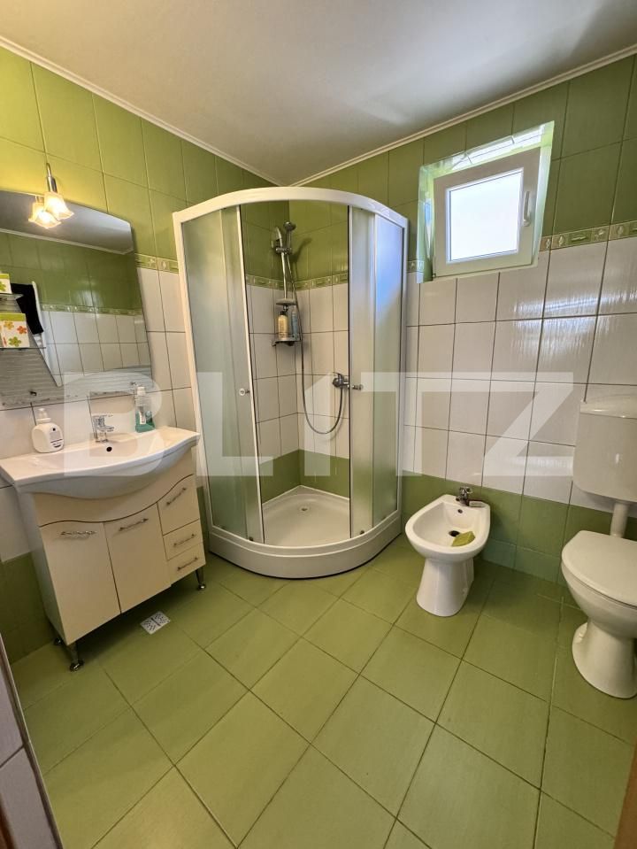 Casa de închiriat 4 camere Exterior-Nord - 203644CI | BLITZ Zalău | Poza10