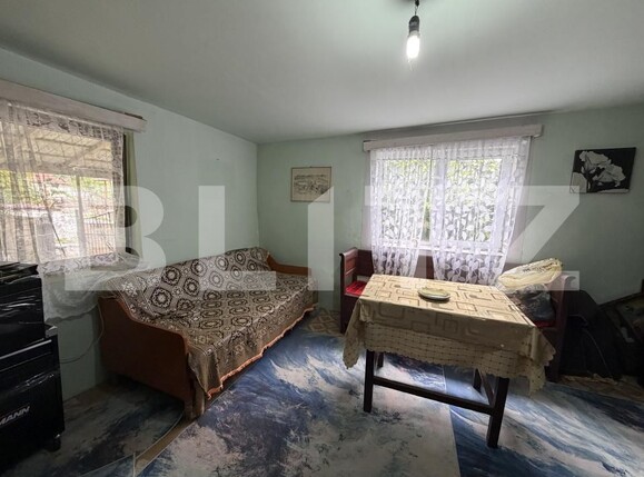 Casa de vânzare 3 camere Sanpetru Almasului - 203647CV | BLITZ Zalău | Poza2