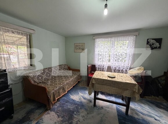 Casa de vânzare 3 camere Sanpetru Almasului - 203647CV | BLITZ Zalău | Poza4