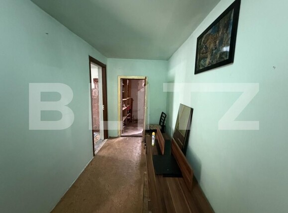 Casa de vânzare 3 camere Sanpetru Almasului - 203647CV | BLITZ Zalău | Poza9