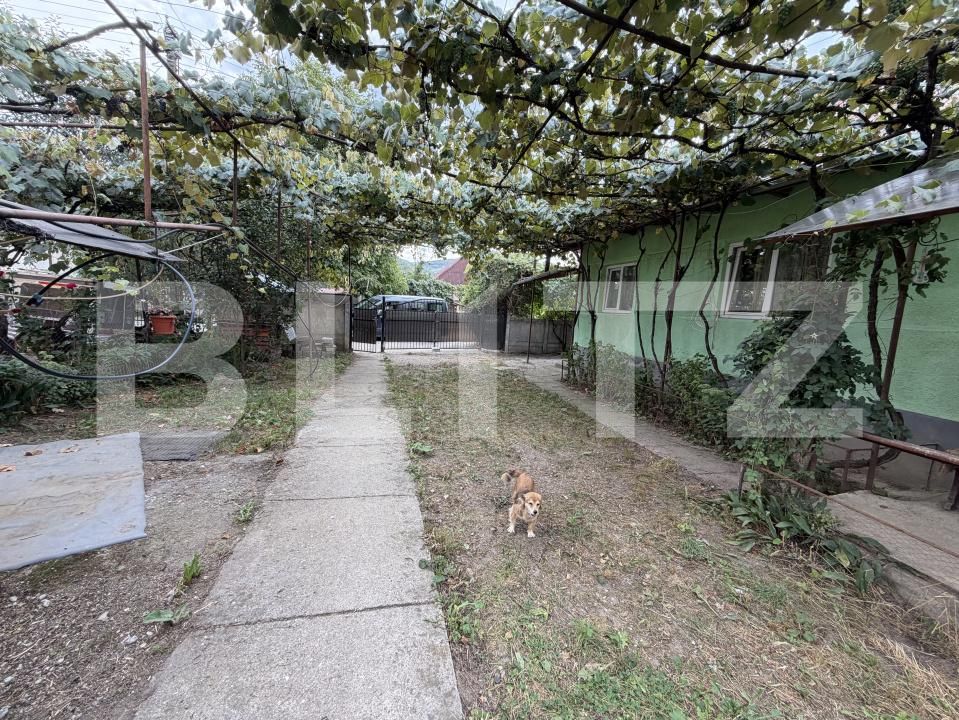 Casa de vânzare 3 camere Sanpetru Almasului - 203647CV | BLITZ Zalău | Poza11