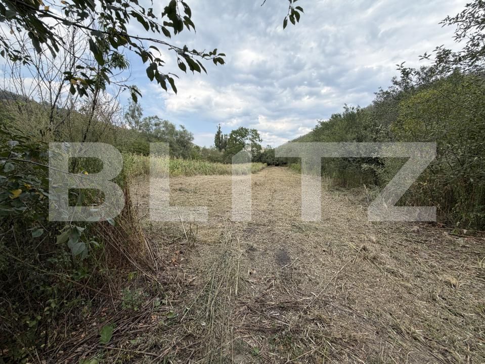 Casa de vânzare 3 camere Sanpetru Almasului - 203647CV | BLITZ Zalău | Poza13