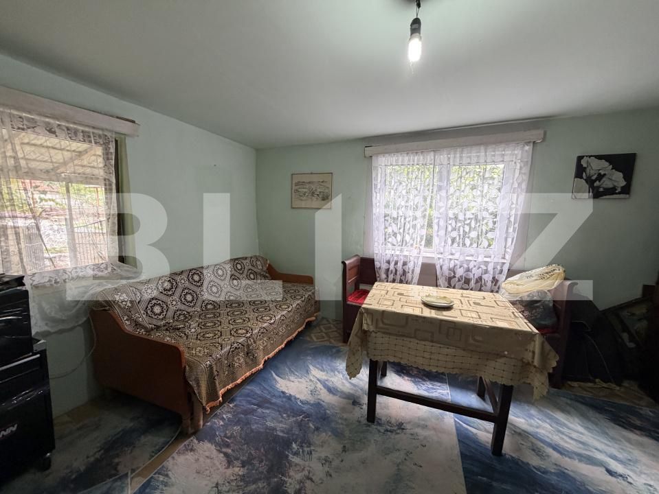 Casa de vânzare 3 camere Sanpetru Almasului - 203647CV | BLITZ Zalău | Poza4