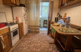 Apartament cu 2 camere și 2 balcoane | Parter înalt | Dumbrava Nord