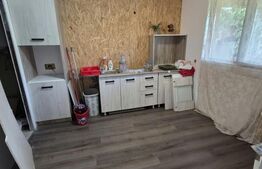 Casă finisată de vânzare P+M, 150 mp, teren 21 Ari, zona Romita