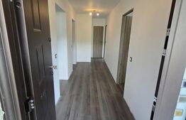 Casă finisată de vânzare P+M, 150 mp, teren 21 Ari, zona Romita