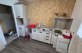 Casă finisată de vânzare P+M, 150 mp, teren 21 Ari, zona Romita