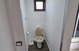 Casă finisată de vânzare P+M, 150 mp, teren 21 Ari, zona Romita