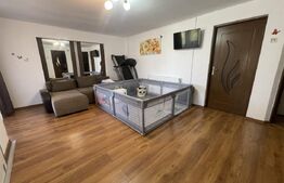 Casă cu 4 dormitoare, 280 mp, garaj, teren 500 mp 