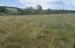 Teren extravilan, 22.183 mp, zona Simleu Silvanei