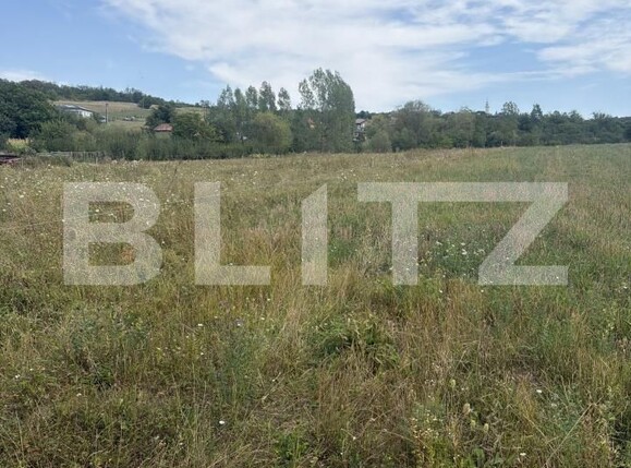 Teren de vânzare Simleu Silvaniei - 205101TV | BLITZ Zalău | Poza1