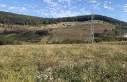 Teren intravila de vanzare, 5.595 mp, zona Ortelec 