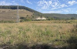 Teren intravila de vanzare, 5.595 mp, zona Ortelec 