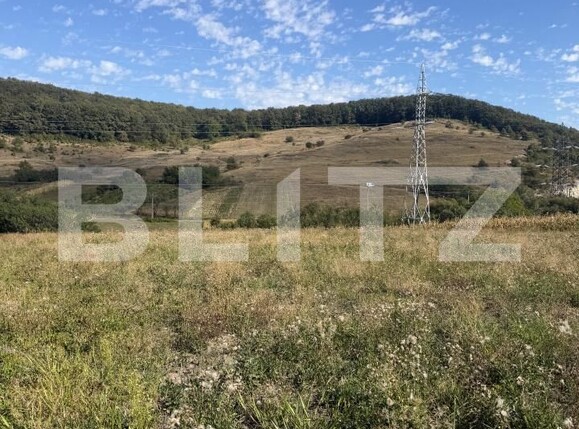 Teren de vânzare Est - 205196TV | BLITZ Zalău | Poza3