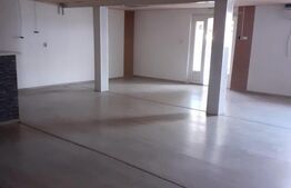 Cladire de 230 mp pe teren de 1.300 mp, zona Sag