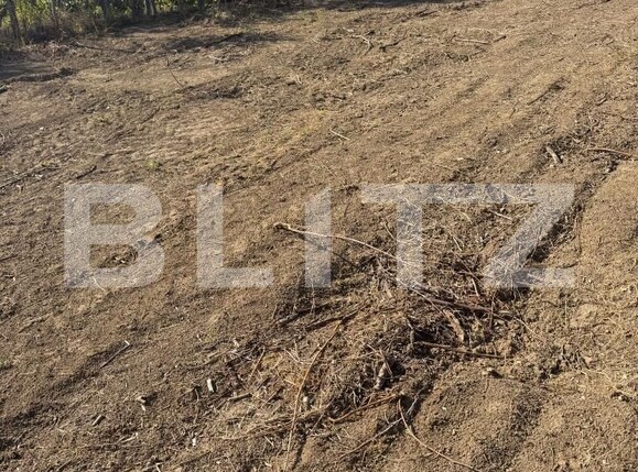 Teren de vânzare Simleu Silvaniei - 206028TV | BLITZ Zalău | Poza3