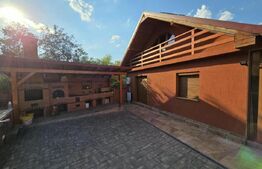 Casa individuala de vanzare, D+P+M, 160 mp, teren 250 mp, zona Criseni