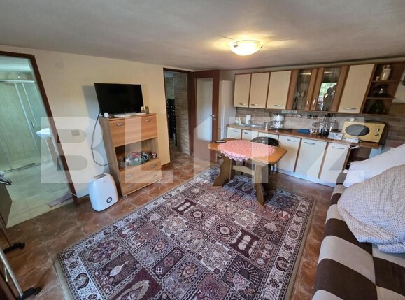 Casa de vânzare 2 camere Criseni - 206206CV | BLITZ Zalău | Poza17