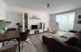 Apartament cu 3 camere bloc vila