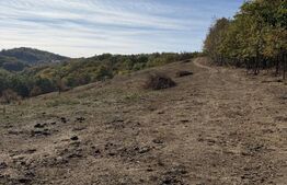 Teren extravilan, 30.055 mp, zona Est