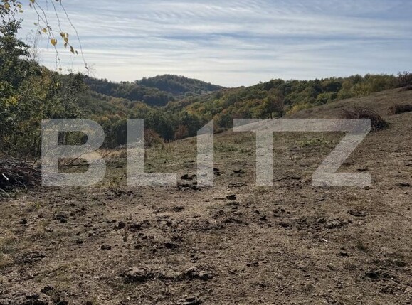 Teren de vânzare Plopis - 207826TV | BLITZ Zalău | Poza3