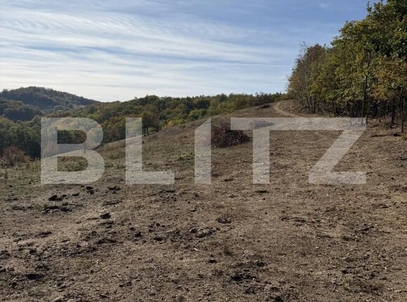 Teren de vânzare Plopis - 207826TV | BLITZ Zalău | Poza2