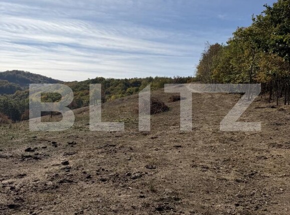 Teren de vânzare Plopis - 207826TV | BLITZ Zalău | Poza1