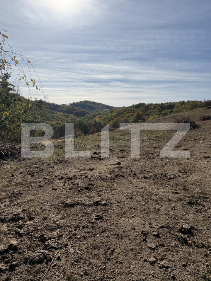 Teren de vânzare Plopis - 207826TV | BLITZ Zalău | Poza3