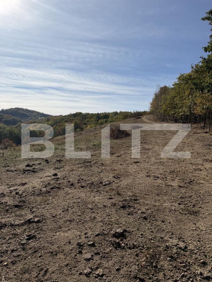 Teren de vânzare Plopis - 207826TV | BLITZ Zalău | Poza2