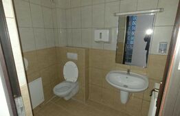 Spații pentru birouri, 30 mp, zona Nord