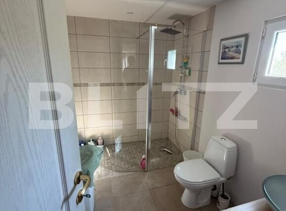Casa de vânzare 3 camere Plopis - 208423CV | BLITZ Zalău | Poza5