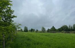 Teren intravilan, 2917 mp, zona Nord - Meseșenii de Sus