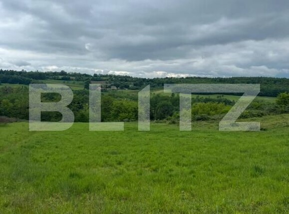 Teren de vânzare Mesesenii de Sus - 208903TV | BLITZ Zalău | Poza3