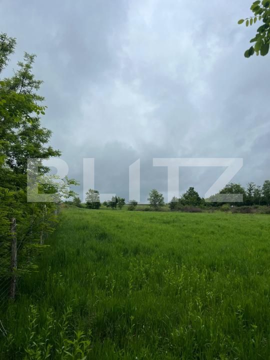 Teren de vânzare Mesesenii de Sus - 208903TV | BLITZ Zalău | Poza2