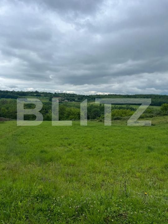 Teren de vânzare Mesesenii de Sus - 208903TV | BLITZ Zalău | Poza3