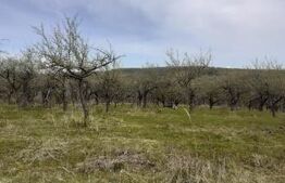 Teren extravilan, 2000 mp, zona Sud-Vest