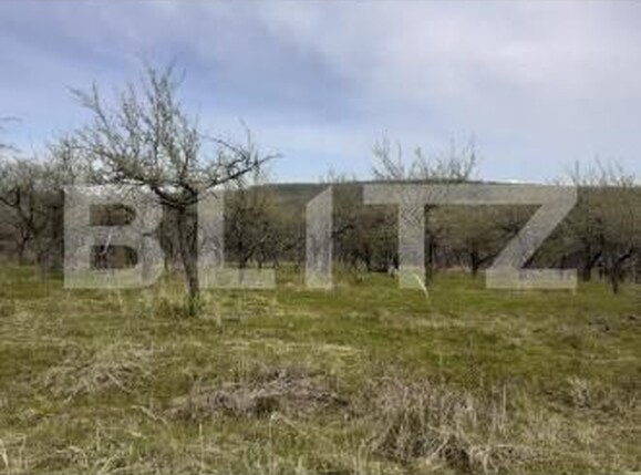 Teren de vânzare Sud-Vest - 209026TV | BLITZ Zalău | Poza1