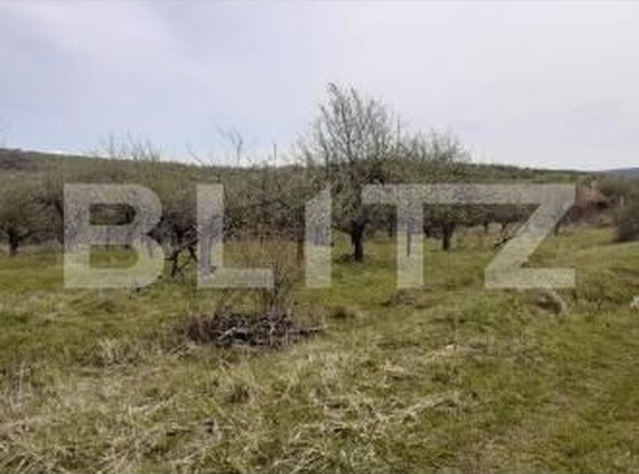 Teren de vânzare Sud-Vest - 209026TV | BLITZ Zalău | Poza3