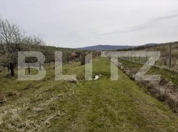 Teren de vânzare Sud-Vest - 209026TV | BLITZ Zalău | Poza2
