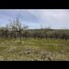 Teren de vânzare Sud-Vest - 209026TV - Poza 1 din 3 | BLITZ Zalău | Poza3
