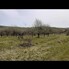Teren de vânzare Sud-Vest - 209026TV - Poza 1 din 3 | BLITZ Zalău | Poza2