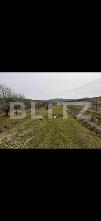 Teren de vânzare Sud-Vest - 209026TV | BLITZ Zalău | Poza2